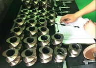 Tipo 75 elementos gemelos del extrusor de tornillo para dirigir recambios del extrusor plástico