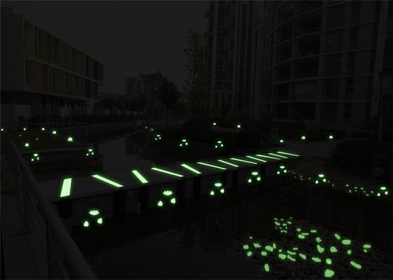 El mar luminoso de la concha descasca para la decoración del acuario